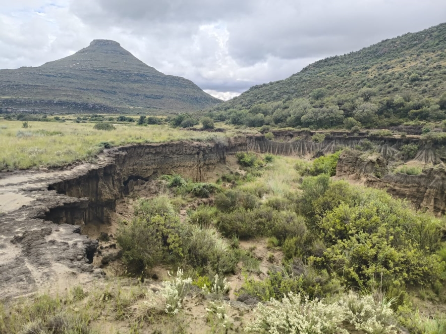 0 Bedroom Property for Sale in Jamestown Eastern Cape